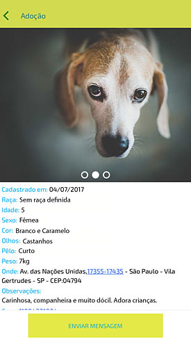 Petspot - Adoção