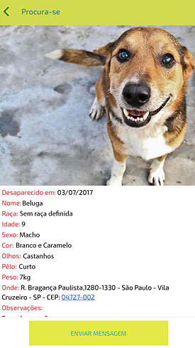 Petspot - Procura-se Pet